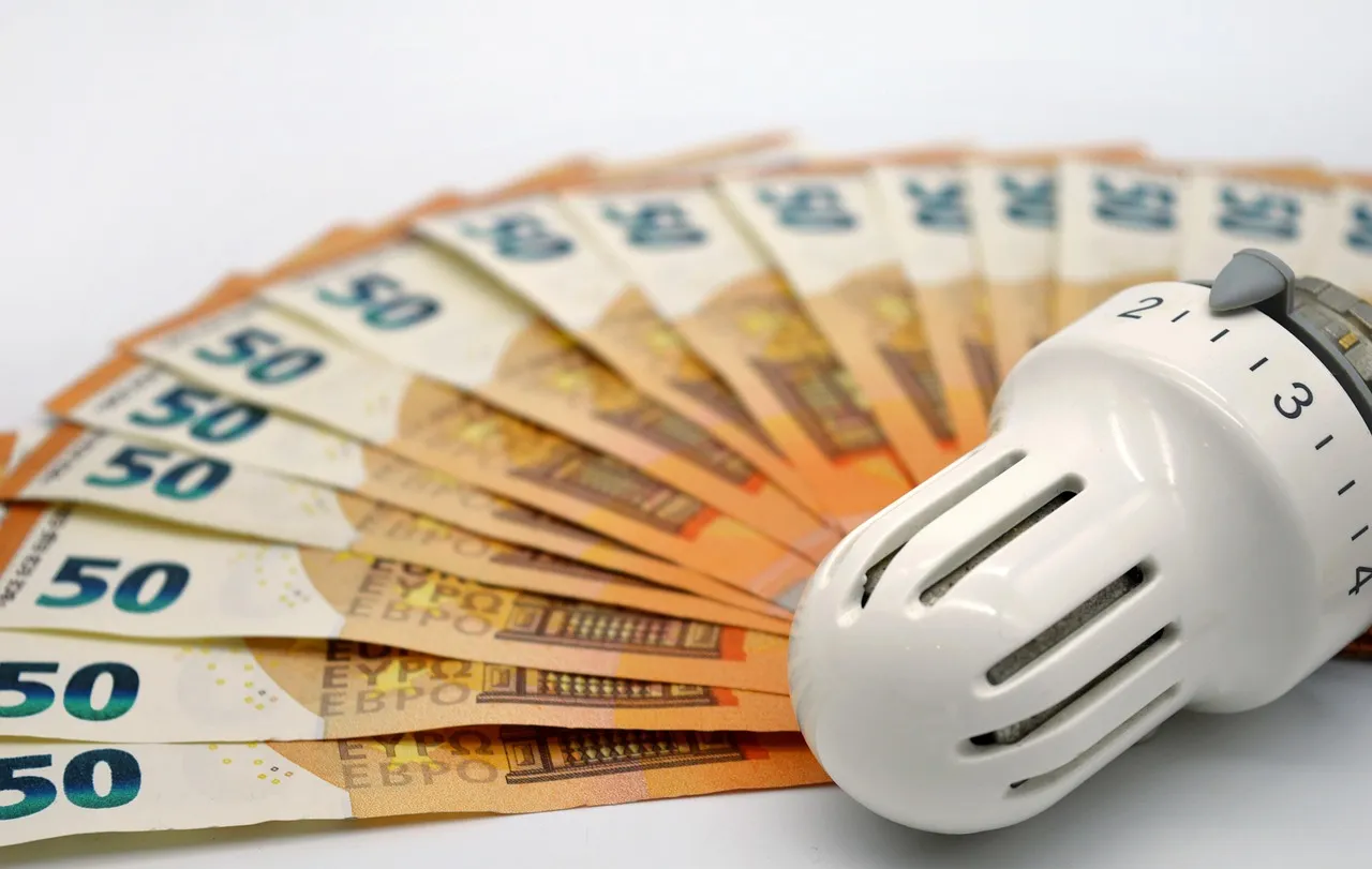 CONSULENZA LUCE E GAS - UTENZE DOMESTICHE E IMPRESA